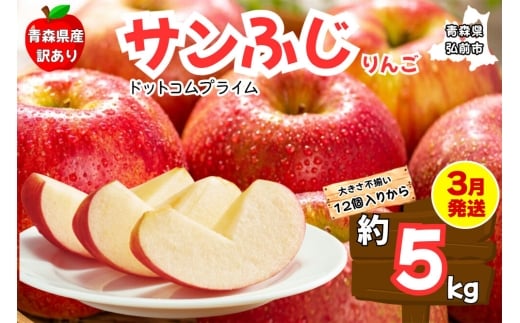 【寄附金額見直しました】【3月クール便発送 訳あり ご家庭用】りんご サンふじ 5kg ふじりんご 青森県産 青森 果物 フルーツ 林檎 リンゴ くだもの 弘前市