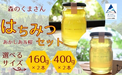 
            はちみつセット あかしあ＆桜 選べる160g×2本 / 400g×2本 ハチミツ 蜂蜜 アカシア 小松市 石川県 【森のくまさん】
          