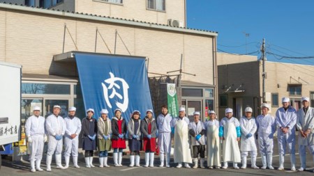 【常陸牛】ヒレステーキ 250g×5枚 (1.25kg)  ( 茨城県共通返礼品 )  国産 お肉 焼肉 焼き肉 バーベキュー BBQ ヒレ ヘレ テンダーロイン A5ランク A4ランク ブランド牛