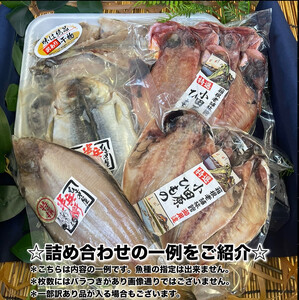 厳選！小田原の旬の干物セット 竹【 まぐろや 神奈川県小田原市 干物 干物 干物  干物 干物】