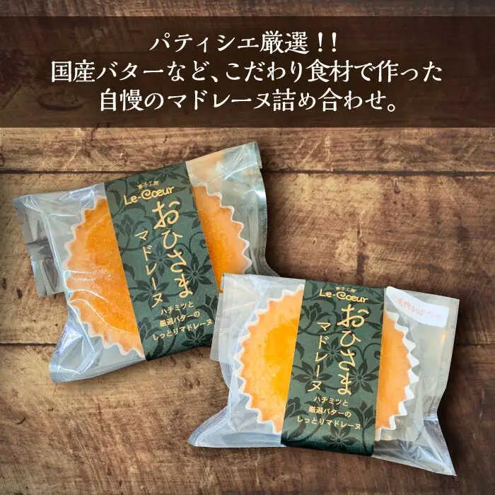 【全6回定期便】おひさまマドレーヌ8個詰め合わせ（プレーン・三毛門かぼちゃ各4）[VBI028]