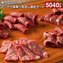 【ふるさと納税】 馬刺し 7種 計5.04kg 専門店おススメ！フジチク霜降り馬刺し堪能セット 馬刺 タレ付き 馬肉 霜降り 大トロ 中トロ チョーチン イチボ メン バラ バラヒモ トロ 刺身 詰め合わせ 九州 熊本 冷凍 熊本県 宇城市 送料無料