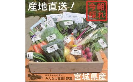 野菜 宮城 朝どれ 野菜セット 8～10個 詰め合わせ 岩沼みんなの家 みんなの直売! 季節の野菜 旬の野菜 旬 東北 震災 支援 採れたて野菜を箱いっぱい詰め込んで 産地直送 送料無料 冷蔵 冷蔵配送 宮城県産 宮城県 岩沼市