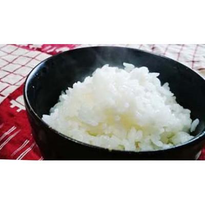 ふるさと納税 上越市 【2ヵ月毎定期便】「Riki-Sakuコシヒカリ」アフコ秋山農場5kg全6回