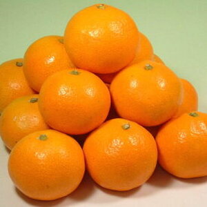 V7060_【2024年 先行予約】田村みかん 5kg 青秀【Mサイズ】