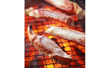 1053.【2025年11月発送】特撰 松葉がに （なま）【訳あり】600g超のサイズ 食べ応えあり 1杯 | カニ 松葉がに