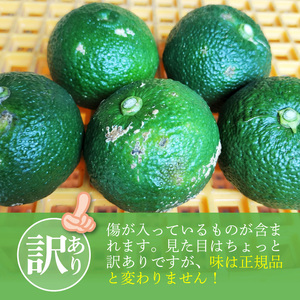 訳あり 青ゆず 生果実 たっぷり5㎏　MM0206