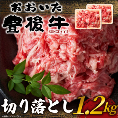 
            おおいた豊後牛切り落とし 1.2kg(600g×2P)(日出町)【1571550】
          