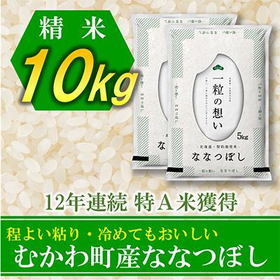 ふるさと納税 むかわ町 【令和6年産】12年連続特A受賞米!北海道むかわ町産ななつぼし 精米10kg
