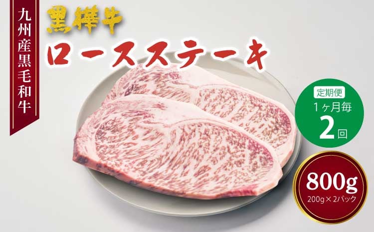 
            ステーキ 【1ヶ月毎2回定期便】計約800g（約400g×2回）  レビューキャンペーン
          