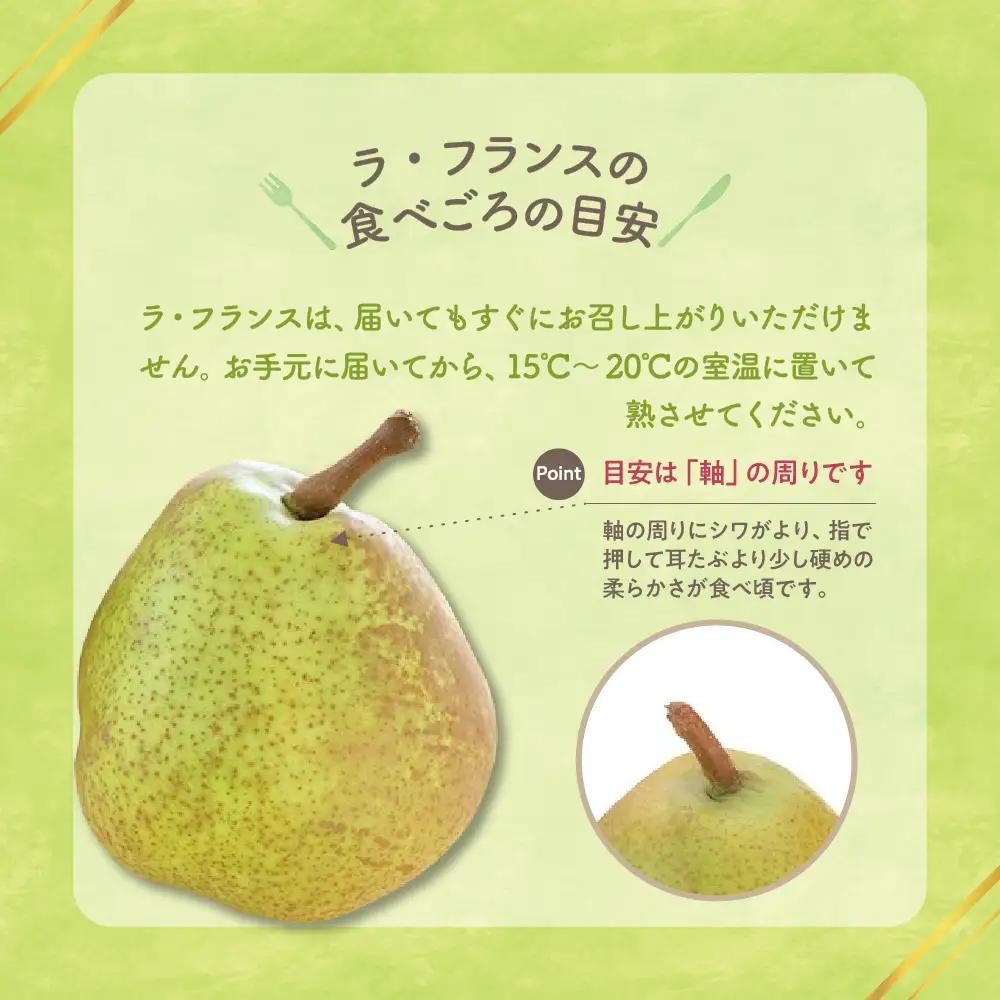 【先行予約】 令和8年産 ラ・フランス & りんご 詰め合わせ 計 約3kg