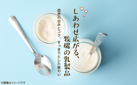 【毎月定期便】牧場てづくりのむヨーグルト　500g×6個全12回【配送不可地域：離島】