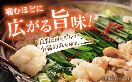 【満腹セット】博多もつ鍋（味噌） / もつ鍋 モツ ホルモン 福岡[AFAU003]