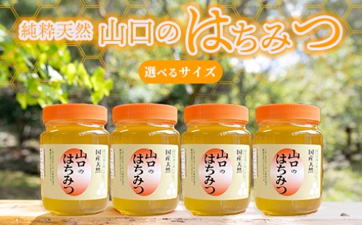 
                  純粋天然 山口のはちみつ600g×2本～1kg×4本
                