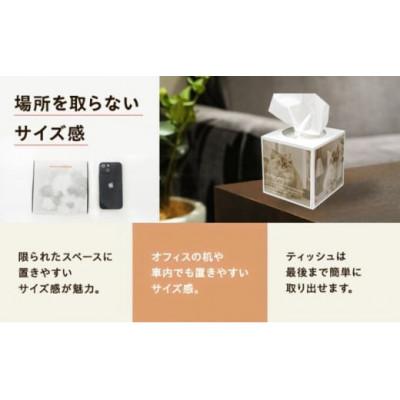 ふるさと納税 丸亀市 ティッシュペーパー 14箱 80W 場所をとらない キューブ型 |  | 01