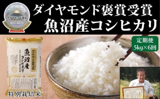 【令和7年産新米】【6ヶ月定期便】最高級 魚沼産 こしひかり 5kg（5kg×1袋）ダイヤモンド褒賞受賞 特別栽培米 新潟県 津南町 コシヒカリ コメ 米 お米