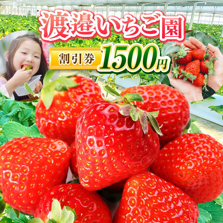 【ふるさと納税】【 2026年 先行予約】渡邉いちご園 割引券 1500円 | 果物 くだもの フルーツ いちご イチゴ ストロベリー 苺 体験 利用券 きみつ 君津市 千葉県