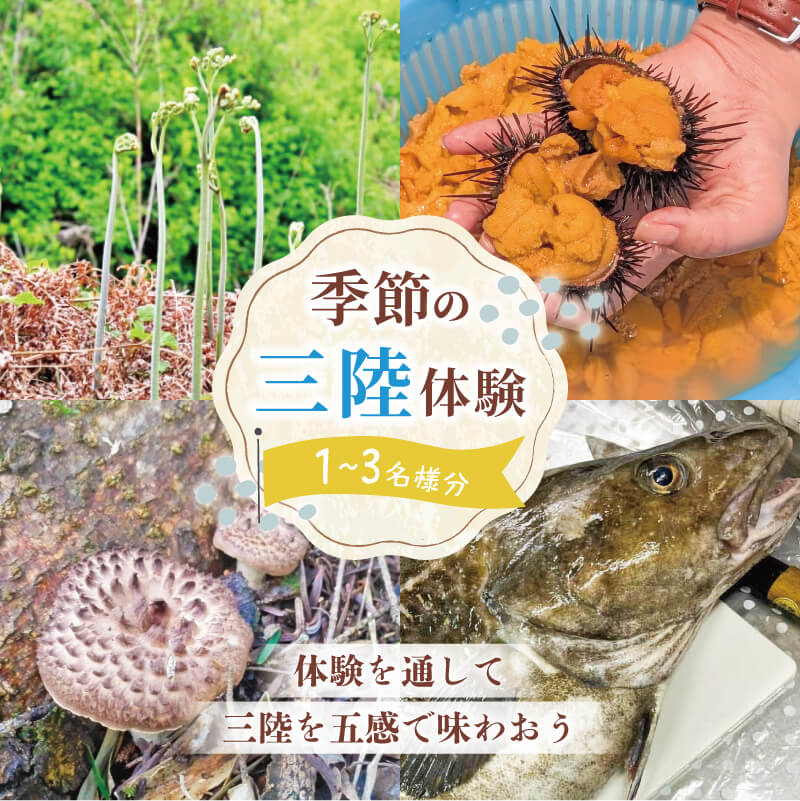 【ふるさと納税】 季節の三陸体験 体験チケット 選べる (1～3名様分/1体験) 三陸アクティブ 三陸 大船渡 大船渡市 体験 体験チケット チケット 夏休み 冬休み 春休み うに ウニ 山菜 山菜取り キノコ きのこ きのこ狩り キノコ狩り 鱈 たら タラ 季節 自然 旬 春 夏 秋 冬