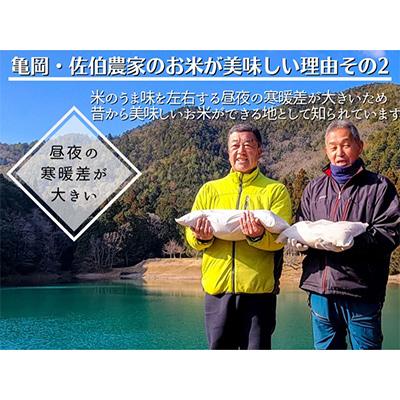 ふるさと納税 亀岡市 【毎月定期便】農家直送!佐伯の里 源流米 京都丹波産コシヒカリ5kg全6回 |  | 03