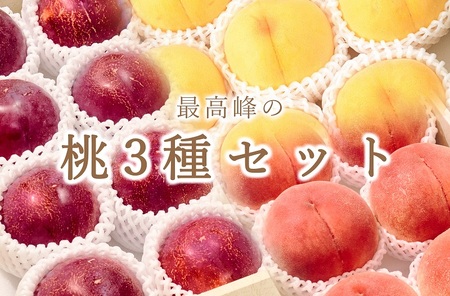 【定期便】甲州市自慢の大玉桃3種セット“大玉桃”“大玉貴陽”“大玉黄金桃”3種の桃セット 自然農法【2026年発送】（BNC）I3-101 桃 すもも フルーツ