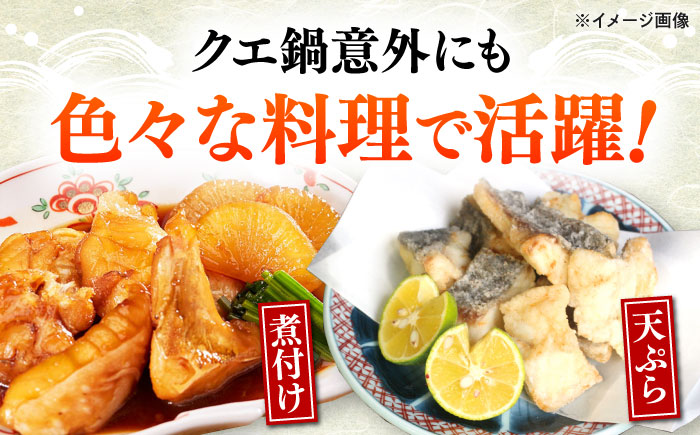 【全3回定期便】対馬産 クエ ぶつ切り 900g 鍋用スープ付《対馬市》【島本水産】高級魚 新鮮 肉厚 本格的 海鮮 鍋セット フライ 煮付け アラ [WBI015]
