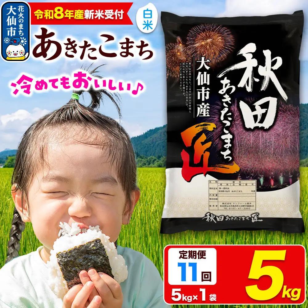 ＜令和8年産 新米受付＞《定期便11ヶ月》米 あきたこまち【白米】5kg 秋田県大仙市産 精米 令和8年産