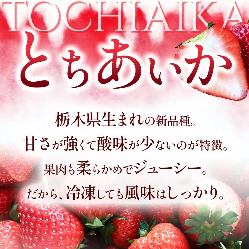  いちご 限定 訳あり 定期便 選べる 完熟 冷凍 とちあいか イチゴ  苺 フルーツ 果物 1kg 2kg 3kg 訳あり 不揃い | 選べる 冷凍  スイーツ ジャム スムージー たっぷり 大粒 