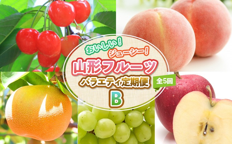 
                  【定期便5回】おいしい！ジューシー！山形フルーツ　バラエティ定期便B  FZ25-821
                