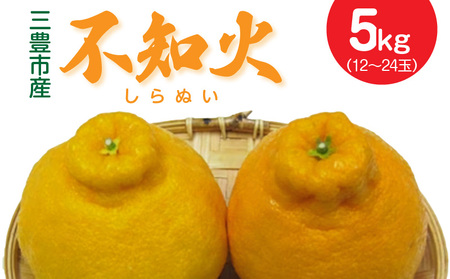 三豊市産 不知火5kg（12～24玉） フルーツ ふるーつ 果物 くだもの 三豊市【配送不可地域：北海道・沖縄県・離島】_M02-0116