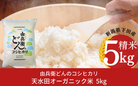 天水田で育ったコシヒカリ 5kg オーガニック米 新米 新潟県 三条市 コシヒカリ