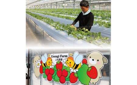 いちご農家の手作りいちごジャム いちごジャム8個 いちご 苺 イチゴ いちごジャム ジャム 手作り パン ヨーグルト 朝食 デザート 人気 おすすめ ふるさと納税 京都 八幡 八幡市 上杉農園