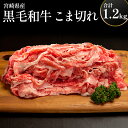 【ふるさと納税】宮崎県産黒毛和牛こま切れ（煮込み、炒め物用）1.2kg（400g×3） 冷凍 お肉 国産牛 牛肉 食品 焼肉 バーベキュー 畜産物 宮崎県 宮崎市 送料無料