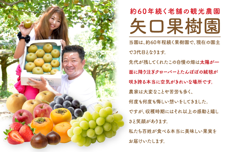 【9月中旬より発送】【数量限定】採れたて 梨 甘太 3kg（茨城県共通返礼品／かすみがうら市）果物 くだもの フルーツ なし ナシ 旬 新鮮 期間限定 産地直送 茨城県 水戸市（FW-15）