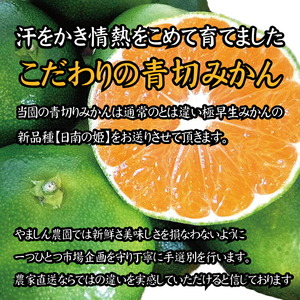 【2025年秋頃発送予約分】【農家直送】こだわりの青切りみかん 約2kg  有機質肥料100%　 サイズ混合　※2025年9月下旬より順次発送予定（お届け日指定不可）【nuk169】