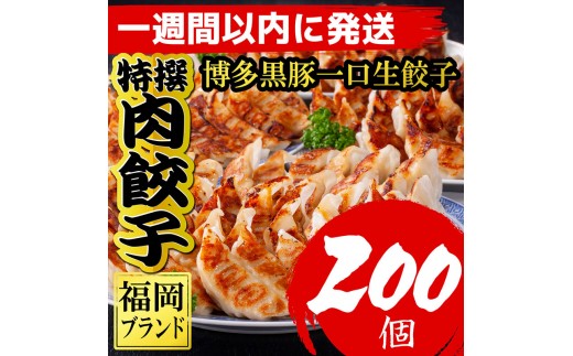 
            【200個!!】【福岡ブランド】博多黒豚一口生餃子 8パック小分　福岡県産ラー麦皮使用　創業40年以上福岡会社製造　【1週間以内に発送！】
          