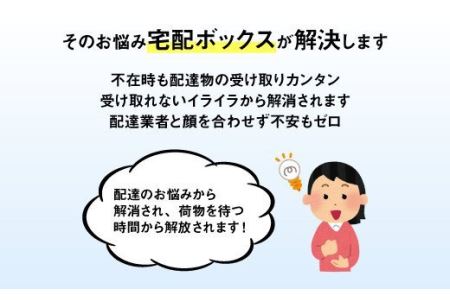 宅配ボックス 置き型 木目タイプ (フィギャードシカモア) 荷物受け