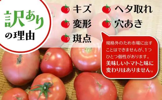 《令和8年産先行予約》訳あり 飛騨トマト 約4kg  訳あり