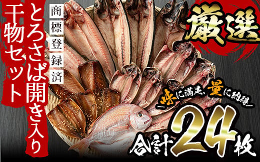 No.203-A  旬の厳選！干物詰合せ(計24枚) 干物 あじ アジ 詰め合わせ セット 魚 魚介 魚介類 ひもの【みのだ食品】