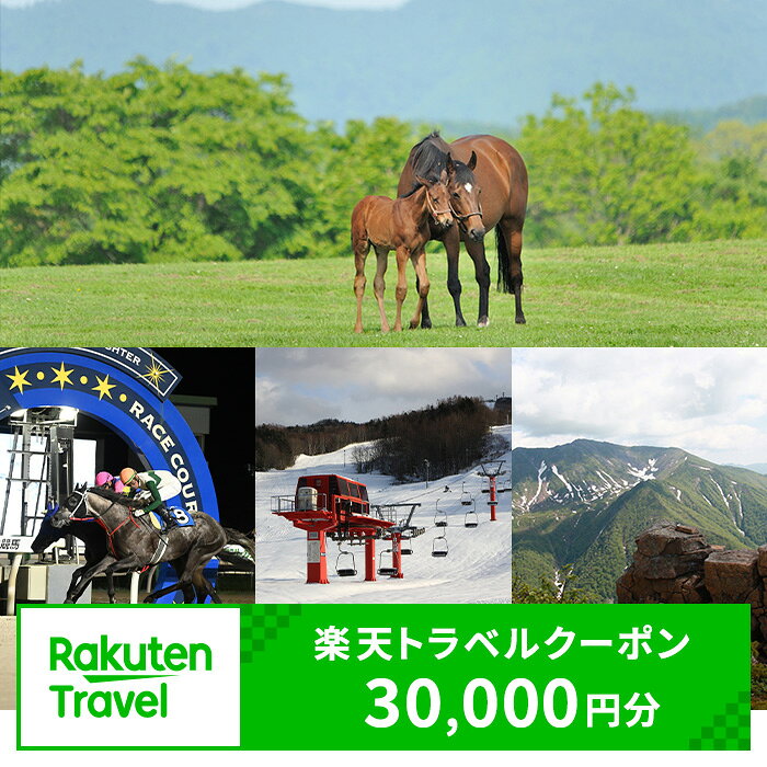 【ふるさと納税】北海道日高町の対象施設で使える楽天トラベルクーポン寄付額100,000円（クーポン額30,000円）《寄付翌日を目途に付与いたします》