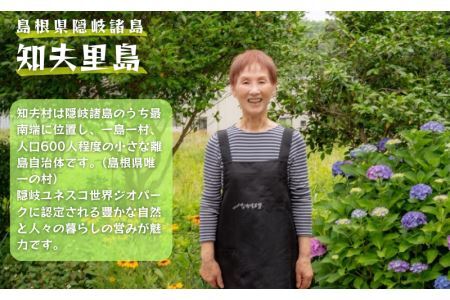 ちぶり島さざえコロッケ6個入り×3袋【さざえ サザエ コロッケ 人気 簡単 時短 小分け】