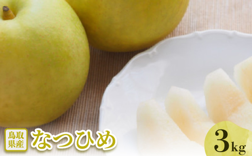 
                  なつひめ　3kg【1593372】
                