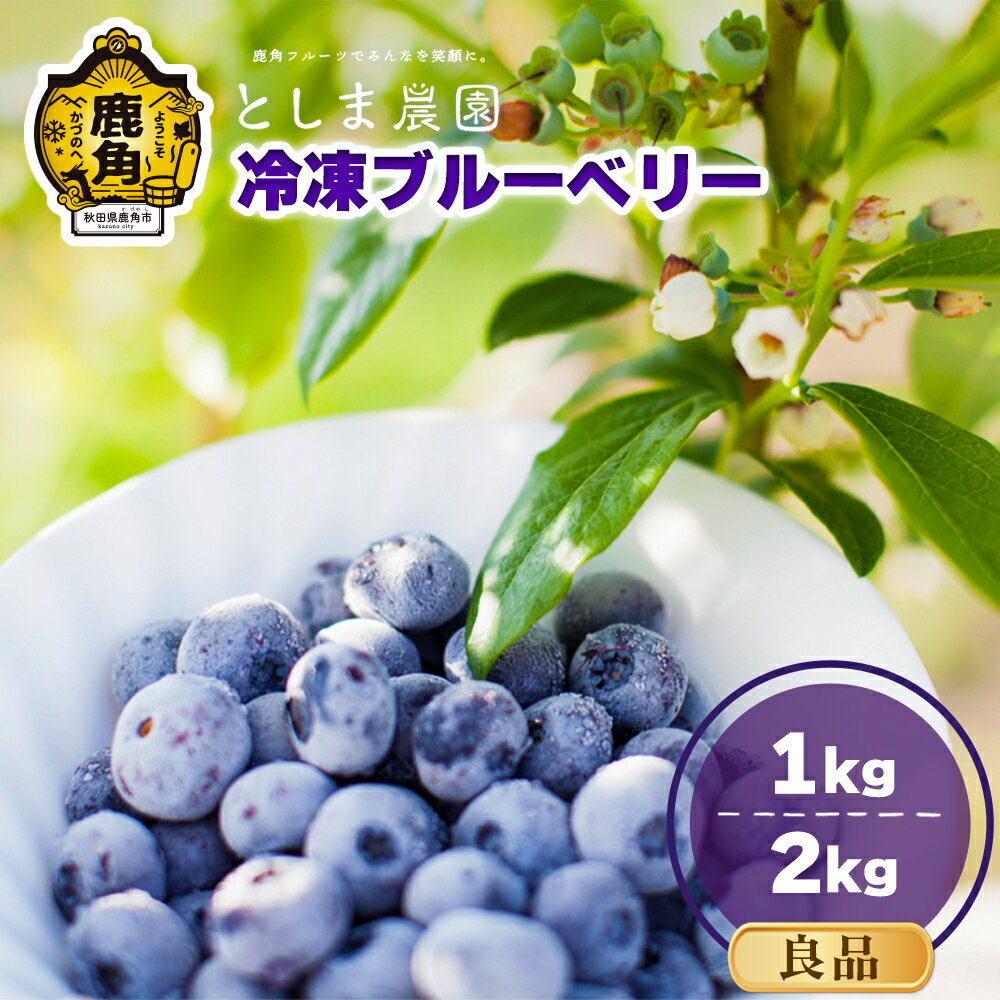 【ふるさと納税】 冷凍 ブルーベリー 良品 1kg ( サイズMIX ) 旬 県産ブルーベリー 国産ブルーベリー お中元 お歳暮 お取り寄せ 母の日 父の日 グルメ ギフト 故郷 秋田 あきた 鹿角市 鹿角 送料無料 【としま農園】