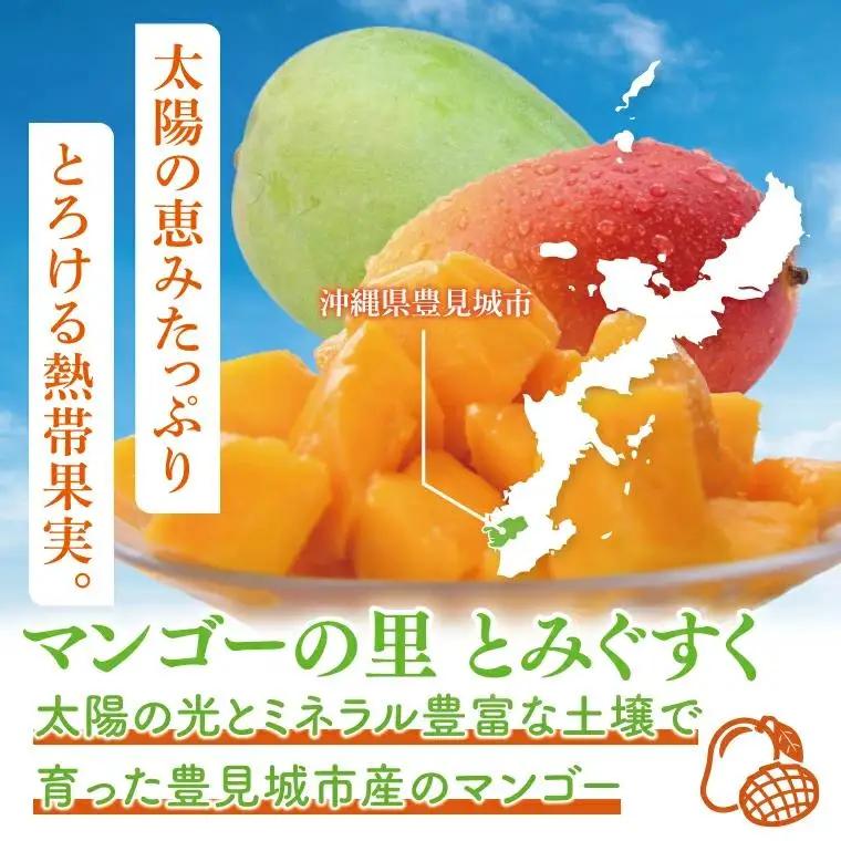 【訳あり】菜々色畑のキーツマンゴー 3～7玉(約2.5kg)【白箱】
