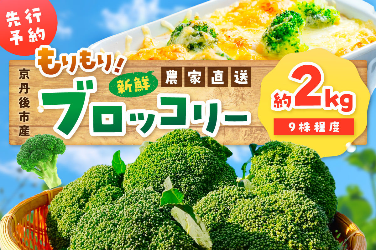 
                  【先行予約】もりもり！ブロッコリー 約2kg（2026年11月上旬～発送）　9株程度 冷蔵 農家直送 ぶろっこりー 野菜 京野菜 新鮮　MY00019
                