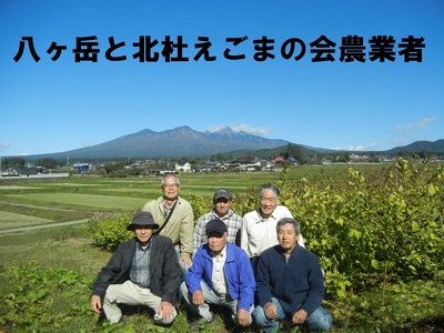 【隔月定期便】えごま油夫婦半年セット 定期便 3回 えごま油 低温生搾り 生えごま油 夫婦半年分 セット 無農薬 110g×4本 2ヶ月毎 3回届く オメガ3脂肪酸 α-リノレン酸 八ヶ岳 南麓栽培 