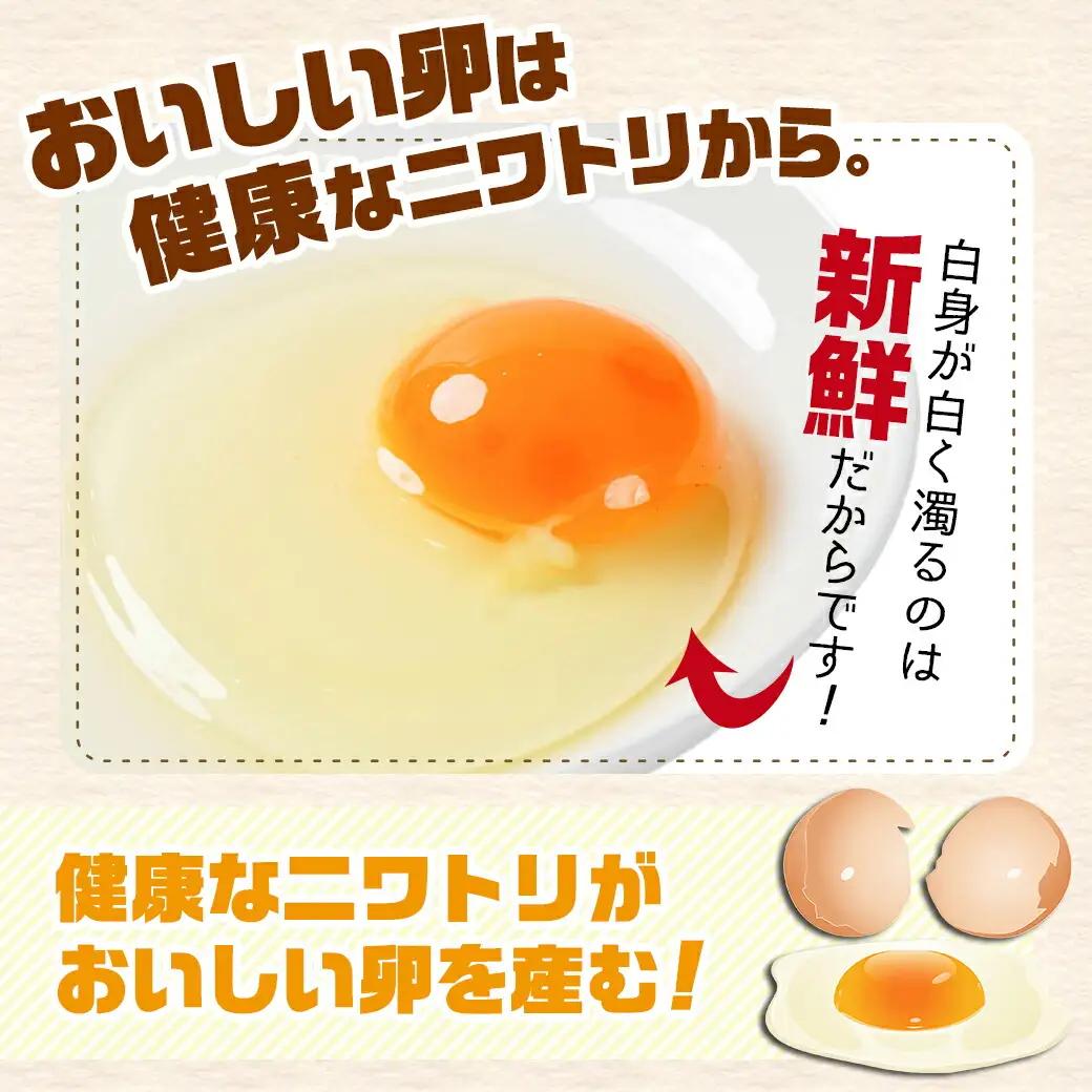 アスタキサンチン入り赤卵「高崎のめぐみ」50個〔AA-68-001-50〕_(都城市) 赤卵 50個 L～Mサイズ 採れたて 新鮮たまご 卵かけご飯 お菓子作り 玉子料理 美容 健康 アスタキサンチン
