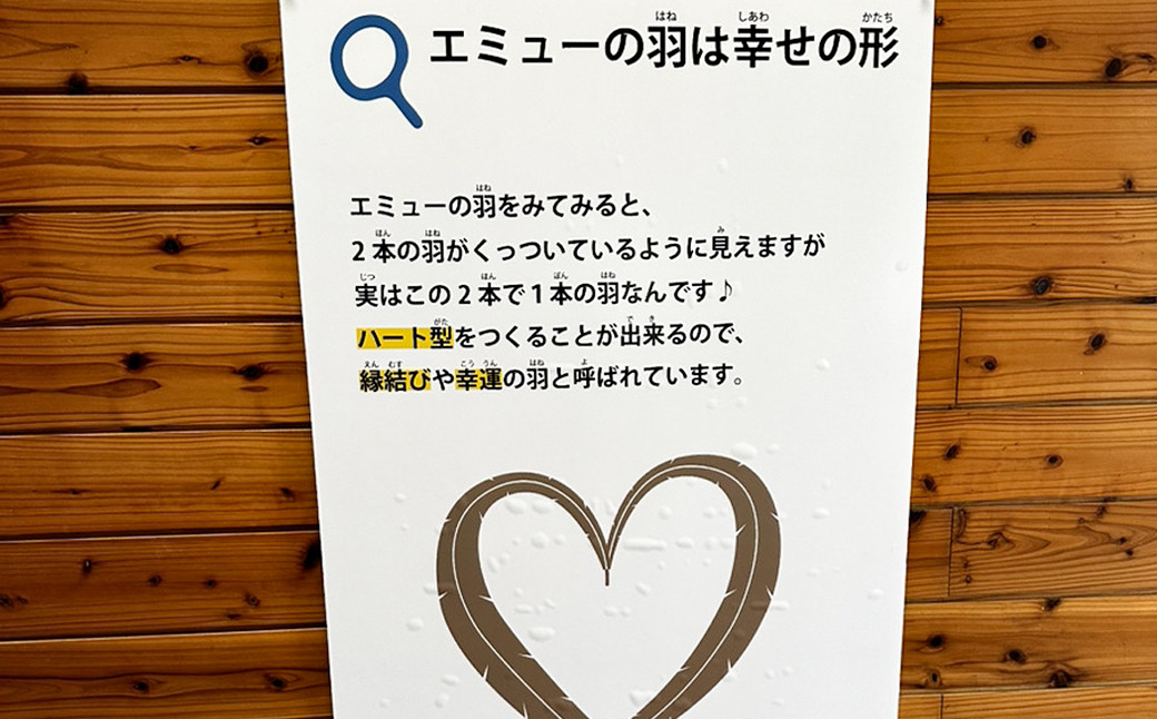 エミュー お守り 全長約18cm ストラップ付き 縁結び 羽根 雑貨 小物st-p