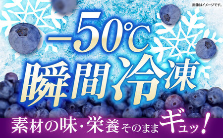 長崎冷果 ブルーベリー 3袋セット　/ 冷凍 冷凍フルーツ ブルーベリー ベリー / 諫早市 / エスジーエス株式会社[AHEQ004]