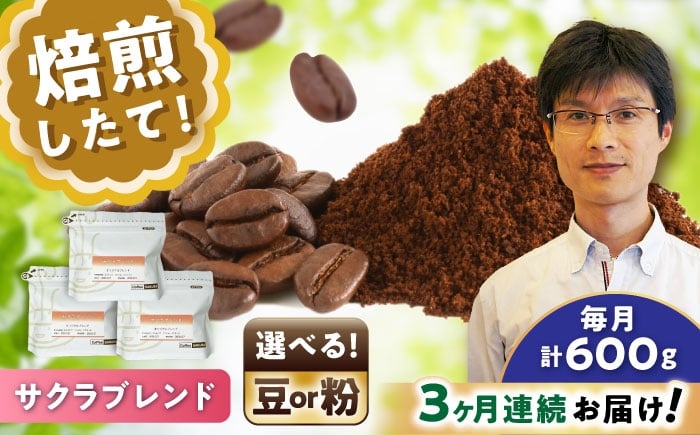 
            【全3回定期便】【選べる豆 or 粉】ブレンドコーヒー サクラブレンド 200g×3個 / 珈琲 コーヒー / 瀬戸市 / Ｃｏｆｆｅｅ　ＳＡＫＵＲＡ [BBAB111]
          