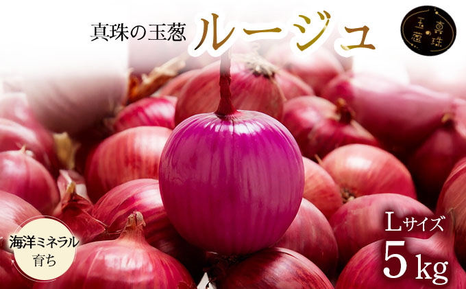 真珠の玉葱 ルージュ Lサイズ 5kg ＜海のミネラルで育てた赤玉葱＞｜玉ねぎ たまねぎ タマネギ 北海道産 岩見沢市【a134-011】 5kg